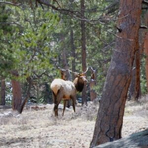 Rocky Mountain National Park