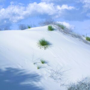 White Sands
