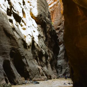 Zion - the tall walls of the Narrows and the Virgin River