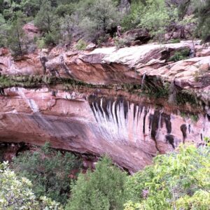 Zion - Emerald Pool's zebra rocks