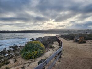 17-Mile Drive