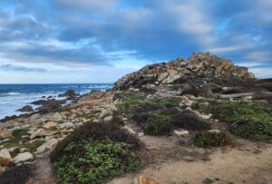 17-Mile Drive