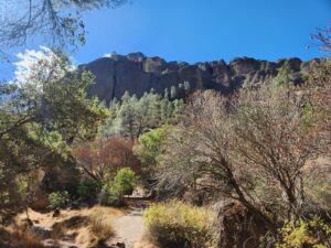 Old Pinnacles Trail