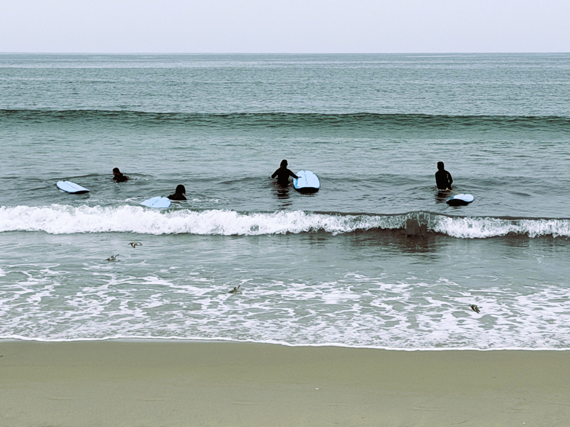 Surf in Santa Monica