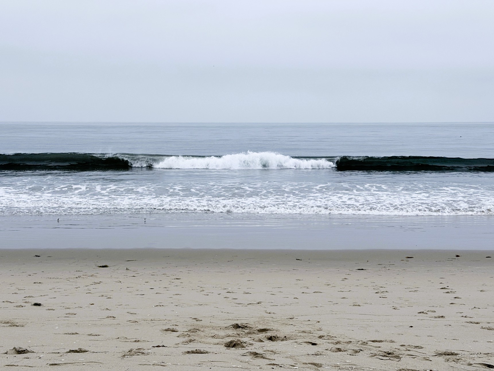 Surf in Santa Monica