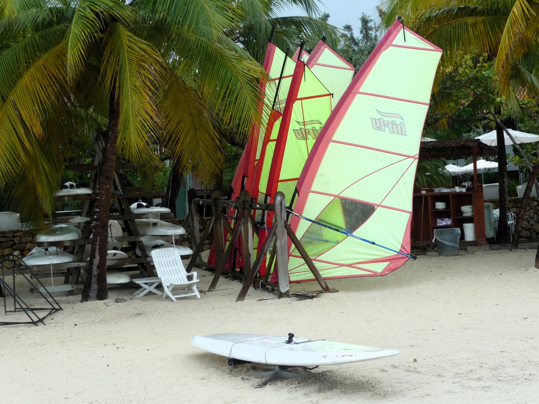 Windsurfing in Negril