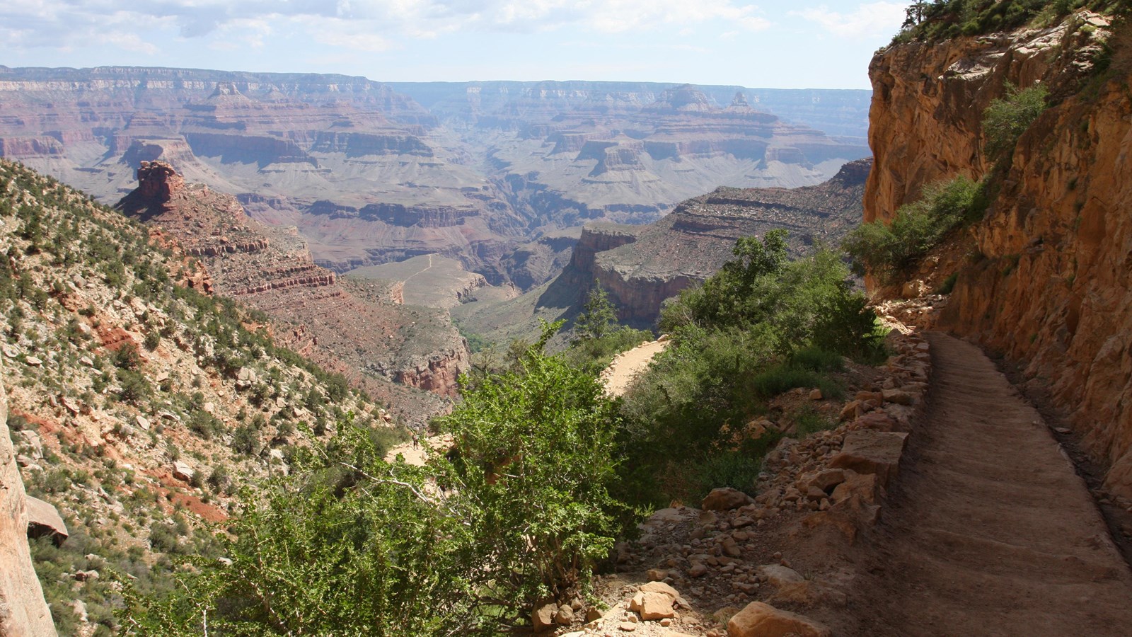 Grand Canyon, as seen above Indian Garden